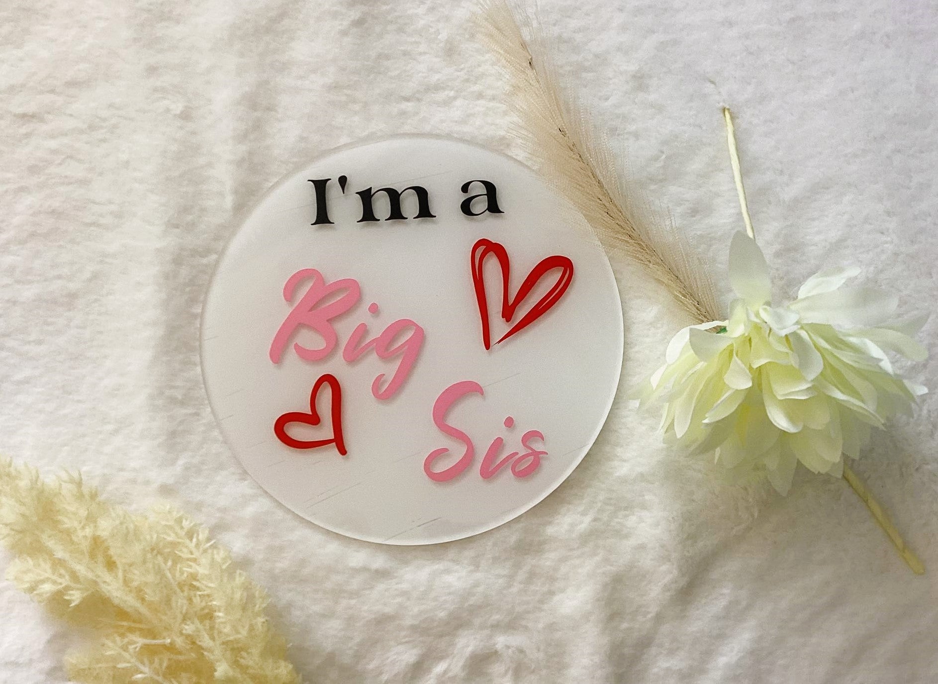 I'm A Big Bro and Big Sis Acrylic Sign