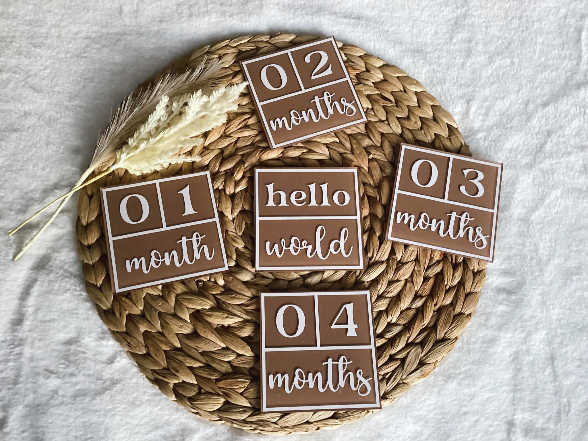 Acrylic Hello World Baby Milestone Block...